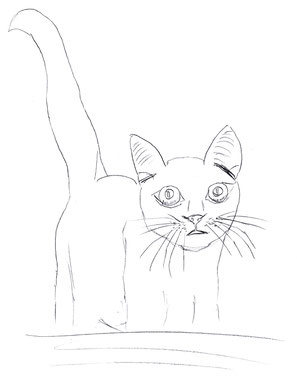 Bild: ©mc, Russisch Blau - Katze