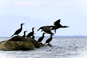 Gemeinsame Richtung geben – oder Raum fürs Erkunden eröffnen? Sie entscheiden!