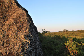 What the locals at Momella call "John Wayne Rock" today was part of a scene in "Hatari!"