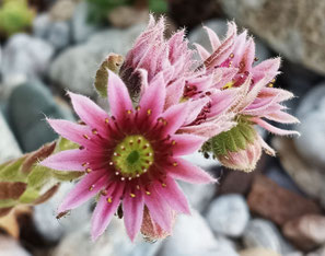 Seminare Luzern, Kurse Luzern