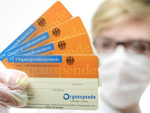 Appell von Bundesgesundheitsminister Hermann Gröhe: «Organspenden können Leben retten.» Foto: David Ebener