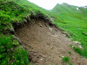 Solifluxion en coulée, Massif du Sancy (photo ugo)