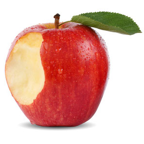 Ernährungsberater Marburg