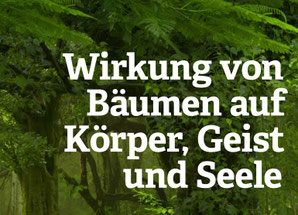 Kraftquelle Holz-56-seitige PDF der Solarholzbauer.ch