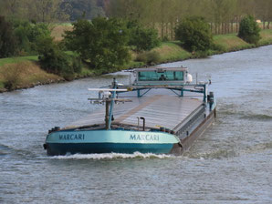 Marcari