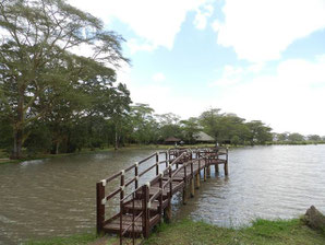 Kenia Safaris Tsavo West