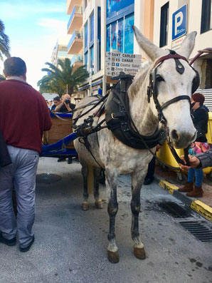 Die Gerrets treffen in Santa Eulalia ein