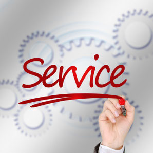 Service-Firmen, Vip-Service auf Ibiza