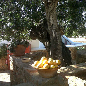 Agroturismo in Santa Eulalia