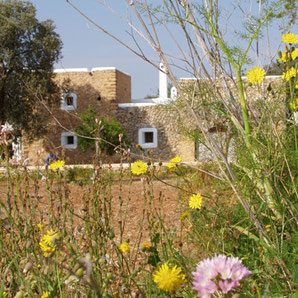 Finca- und Landhotels in Santa Eulalia