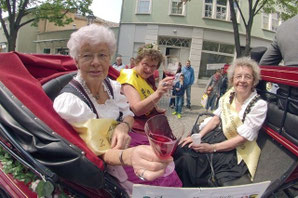 Festumzug Stadtfest Bernburg - Klick!