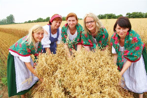 Traditionelles Mähbindern - Klick!