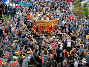 花畑大鷲神社大祭,　東京都足立区, 12年に一度, 本社神輿渡御, お祭り写真