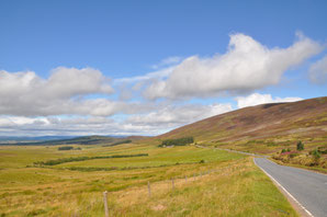 road trip ecosse, roadtrip scotland, highlands, chien, vacances, voyager avec son chien, randonnée, hiking dog