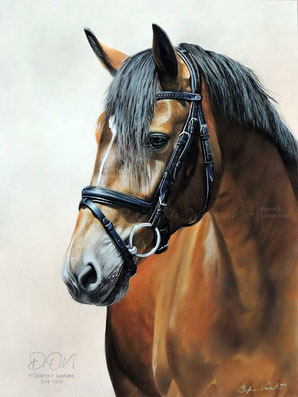 Pferdeportrait nach Fotovorlage gemalt in Pastell 