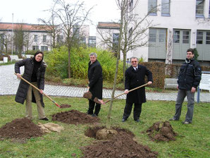 LEADER-Baum-Pflanzung am Landratsamt Neustadt/Aisch-Bad Windsheim