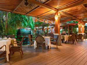 One day tour:  Canopy, baldi thermal resort and one meal
