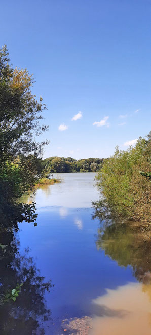 Wo die Pader in den Padersee mündet, bleiben die Ufer unberührt: Naturschutz, baden verboten!