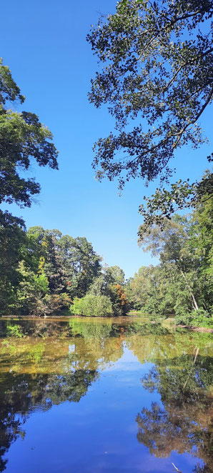 Paderwanderung, bei den Fischteichen