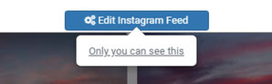 「Edit Instagram Feed」設定開始