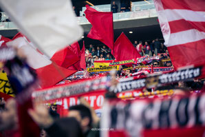 atletico de madrid, frente atletico, fondo sur,