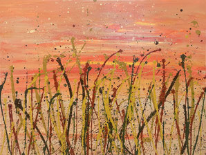 Illumination : 30 x 40