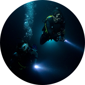 night diver specialty