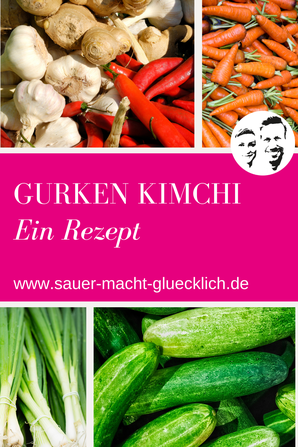 Gurken Kimchi Fermentation Rezept