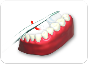 3. Innenflächen der Zähne von hinten links bis rechts hinten oben und unten putzen. (© proDente e.V.)