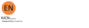 Schutzstatus des Drosselrohrsängers gemäß der Roten Liste der Brutvögel des IUCN, EU, in Deutschland, Österreich und der Schweiz.