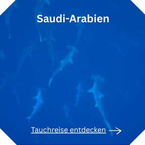 Tauchen Saudi Arabien