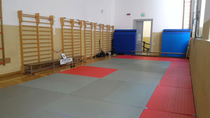 Il tatami dell'Aiki Shuren Dojo Trieste