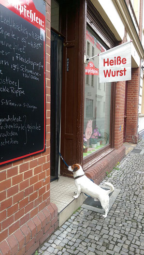 Wer könnte da widerstehen?