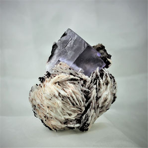 Cerussite Mibladen Morocco Africa