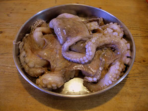 Oktopus ganz, roh