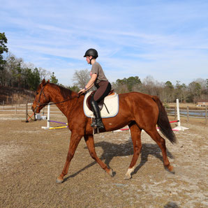 Miss Ashley is training with her personal horse 