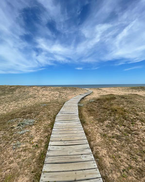 Diego Sanchez Kehl - Strasbourg 2026