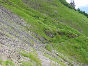 zum Brünigpass