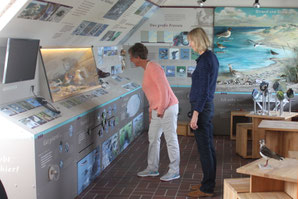 Der Ausstellungsraum der Naturstation - Foto: NABU / C. Harrje