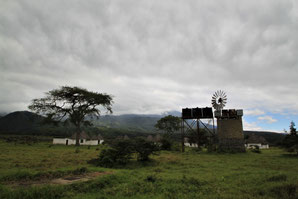 After co-starring with John Wayne in "Hatari!", Hardy Kruger turned filming site Momella into a tourist lodge. 