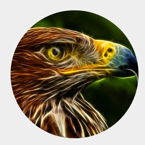 Fliege mit dem Archetyp Adler höher wie die Schwerkraft. Verändere deine Wahrnehmung und werde zum Alchemist. Erlaube dir gross zu Träumen und deine Welt so zu kreieren, wie es für dich stimmig ist.