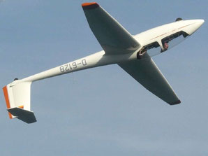 Schleicher ASK-21 - D-6128