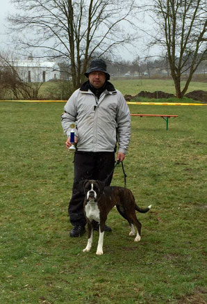 Boxerklub Ausstellung Boxer Hund vonderwaldnielerheide 