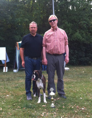 Boxer Hund vonderwaldnielerheide Ausstellung