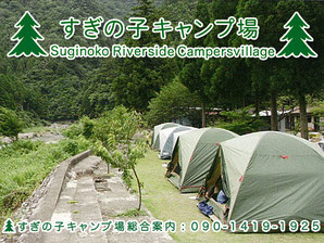 すぎのこキャンプ場 スイス村 旧テント村 岐阜県 板取川流域キャンプ場 徹底比較