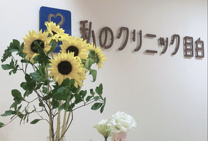 ベビーコラーゲン 法令線、マリオットライン