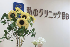ベビーコラーゲン　法令線、マリオットライン