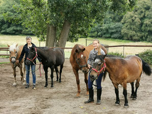 Piet, Blacky, Hanni und Monti gehören zu Gut Rodebergs Seniorpferden und freuen sich über Besuch. Foto: Nicole Marschall