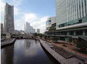 　　　　　　　横浜市庁舎と大岡川