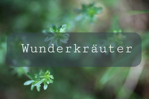 wunderkraeuters Webseite!